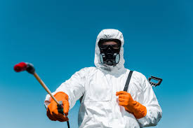 Real Estate Pest Inspections